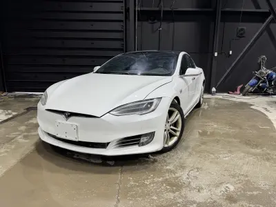 2019 Tesla Model S Long Range in White with Black interior